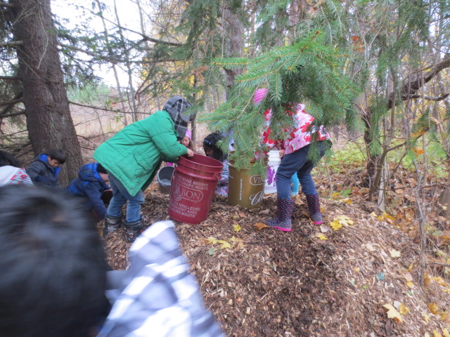 Students moving mulch
