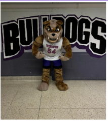 WCCI bulldog mascot posing in front of a wall