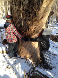 Students hugging a tree