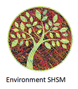 Enviro SHSM