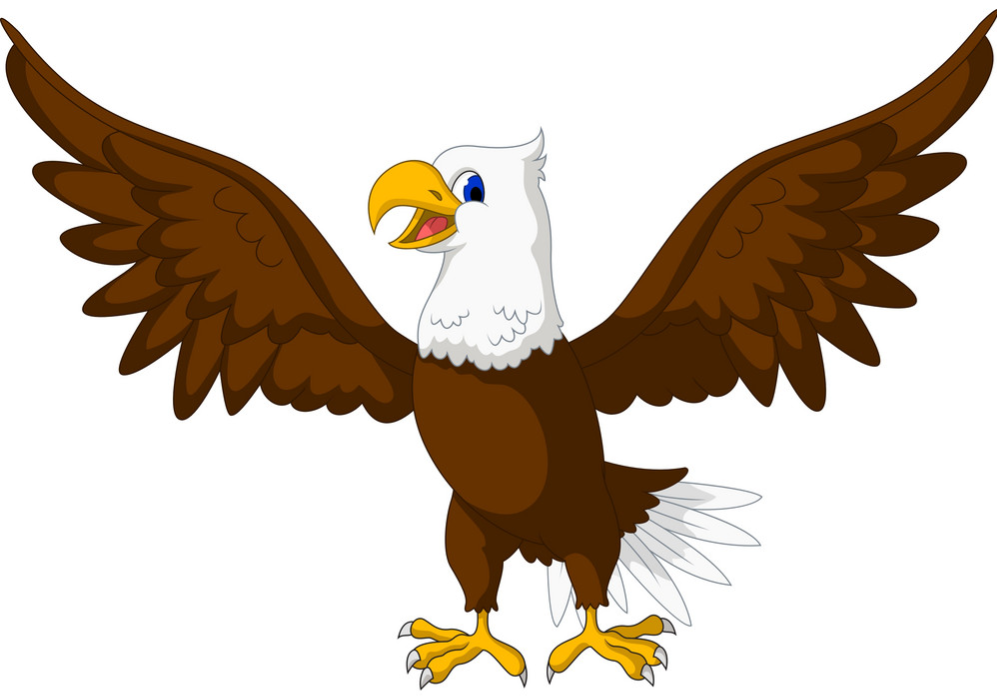 cute-eagle-cartoon-vector-1410750637410516721557450