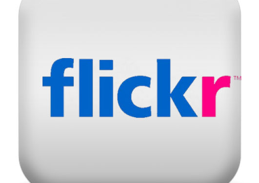 Flicker logo