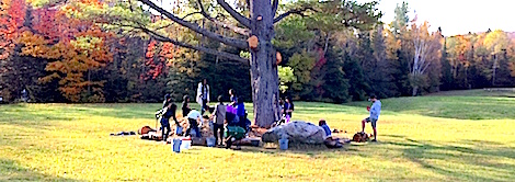Students putting wood chips in at the base of a large white pine tree to protect its roots