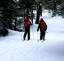 Skiing a track set trail