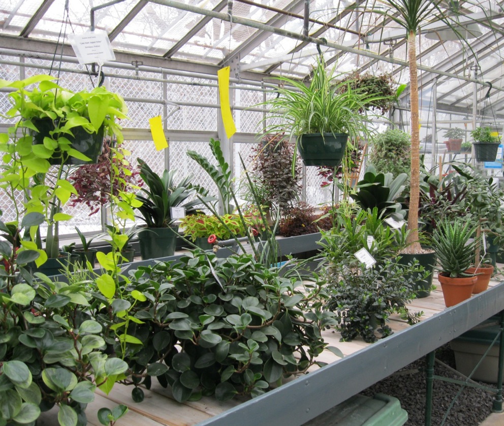 tusc greenhouse