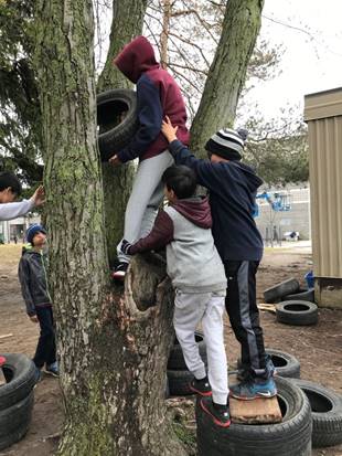 students climbing a tree