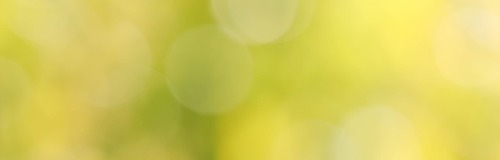 Site Banner Image