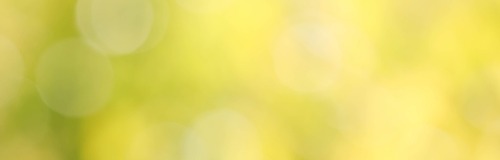 Site Banner Image