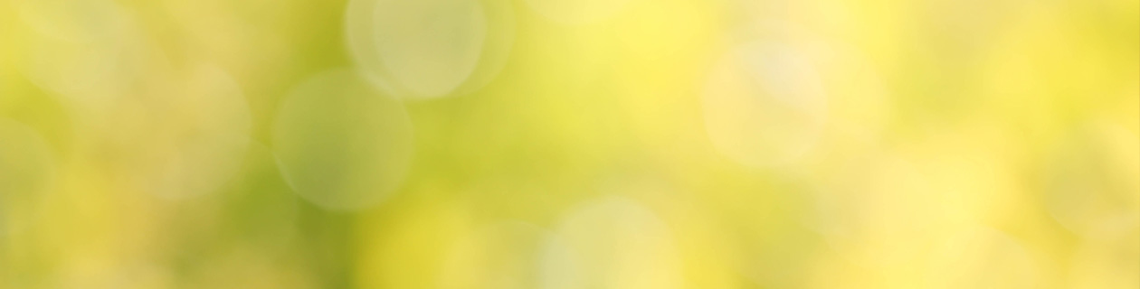Site Banner Image