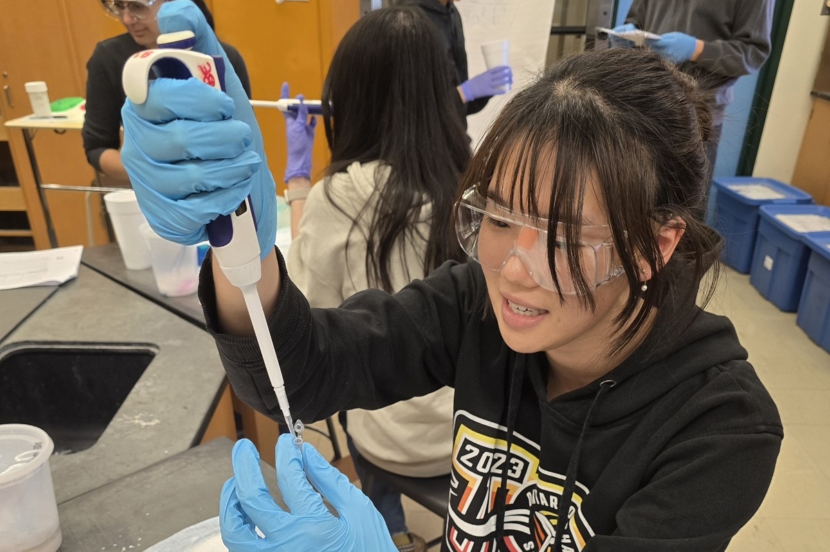 Student using a micropipette to genetically engineer bacteria that glow under UV light