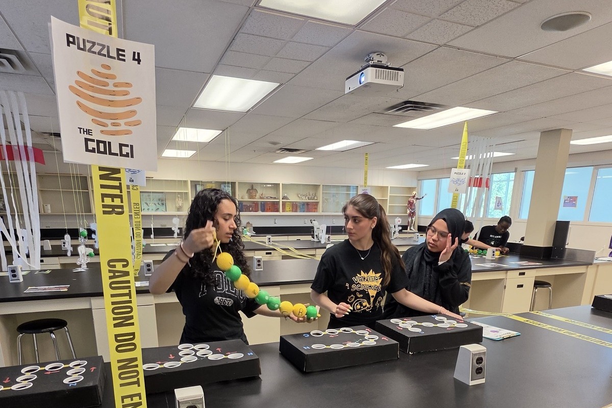 Students determining protein structure from DNA sequences in an escape-room challenge at the Western Science Olympics