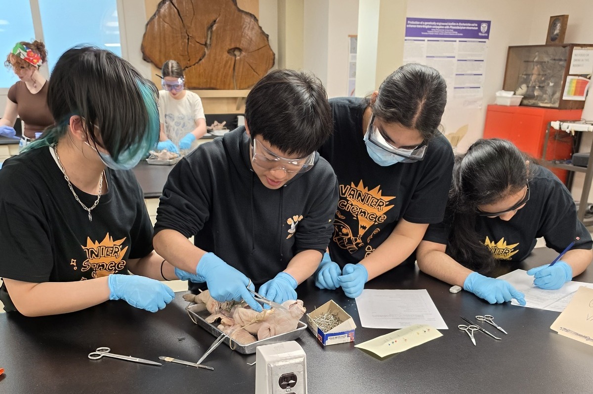 Students conducting a fetal pig dissection at the Western Science Olympics