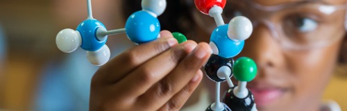 Site Banner Image