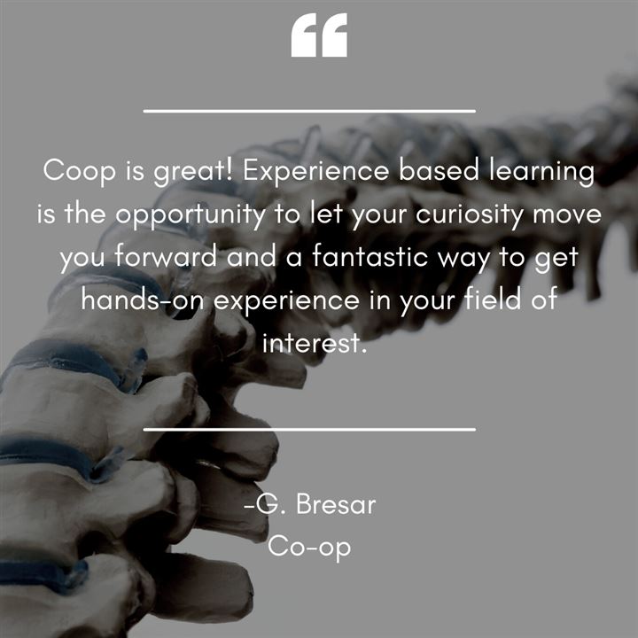 Quote from Student