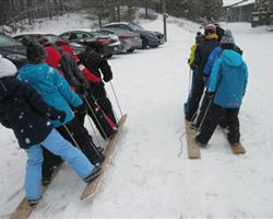Winter Land Skis