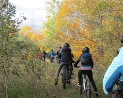 Fall Biking On Trail