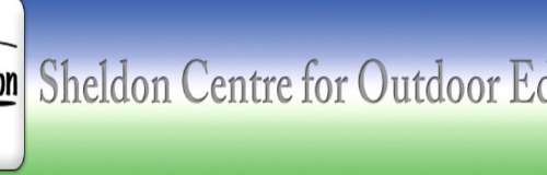 Site Banner Image