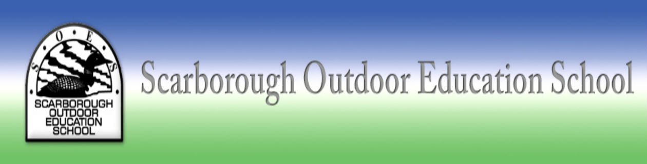 Site Banner Image