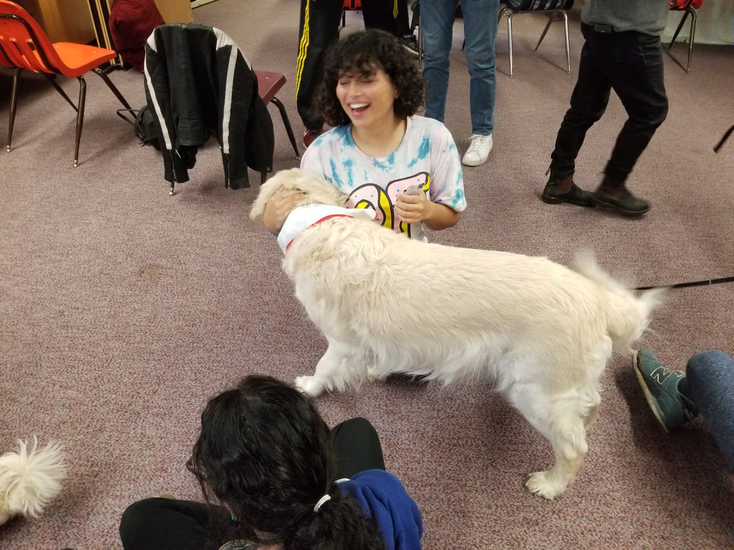 During Wednesday sessions, we have many programs available for students to participate. One of them is therapy dogs from St. John Ambulance. Open Gallery