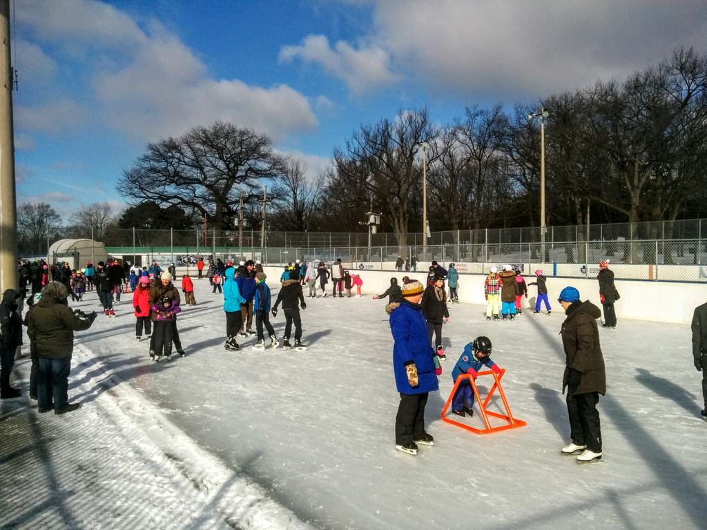 Annual K-8 Family Skating Party at High Park.  Open Gallery
