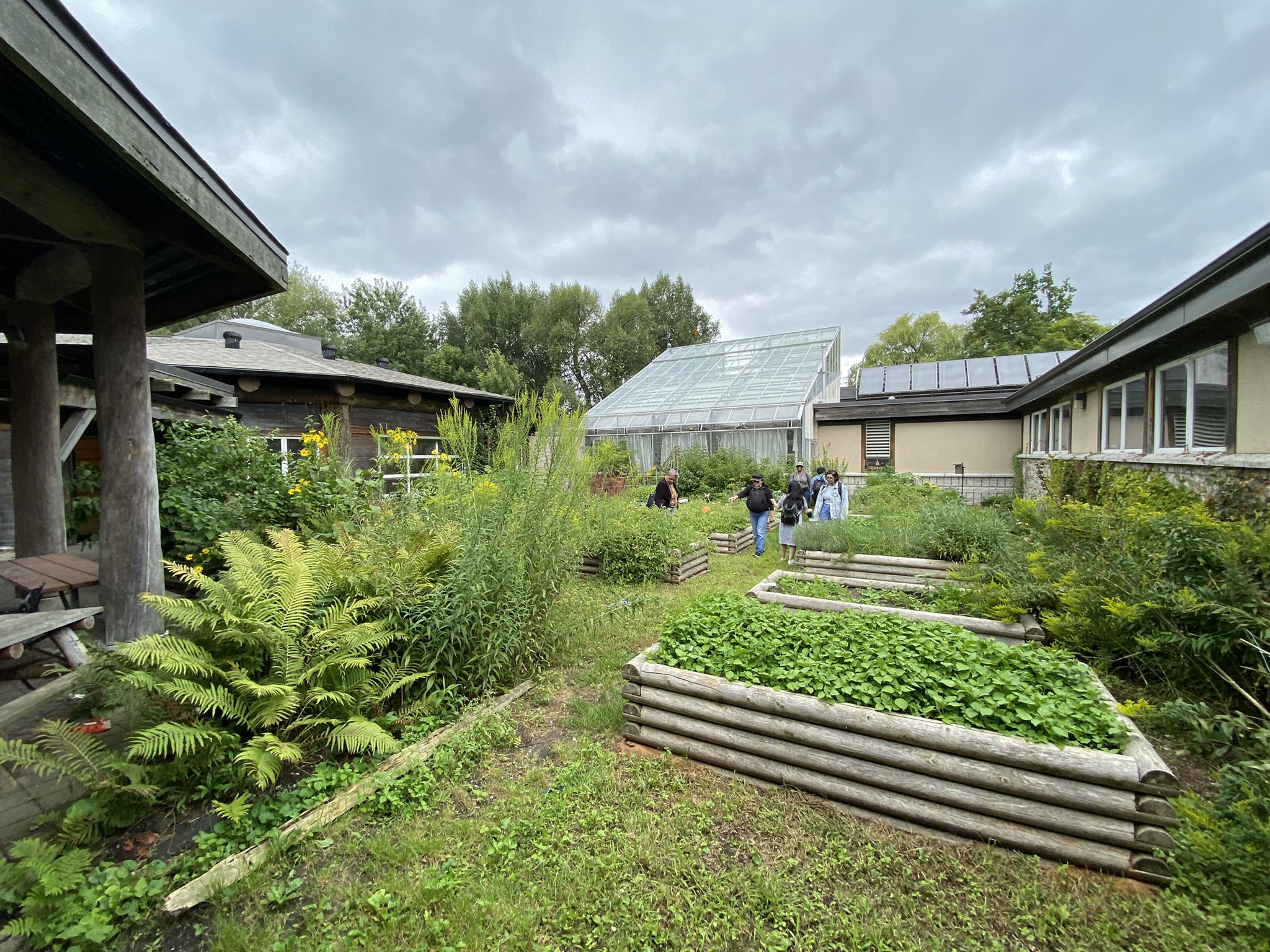 School Garden Open Gallery