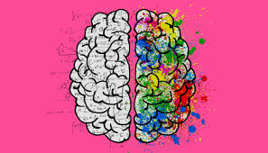 Social Sciences  Open Gallery