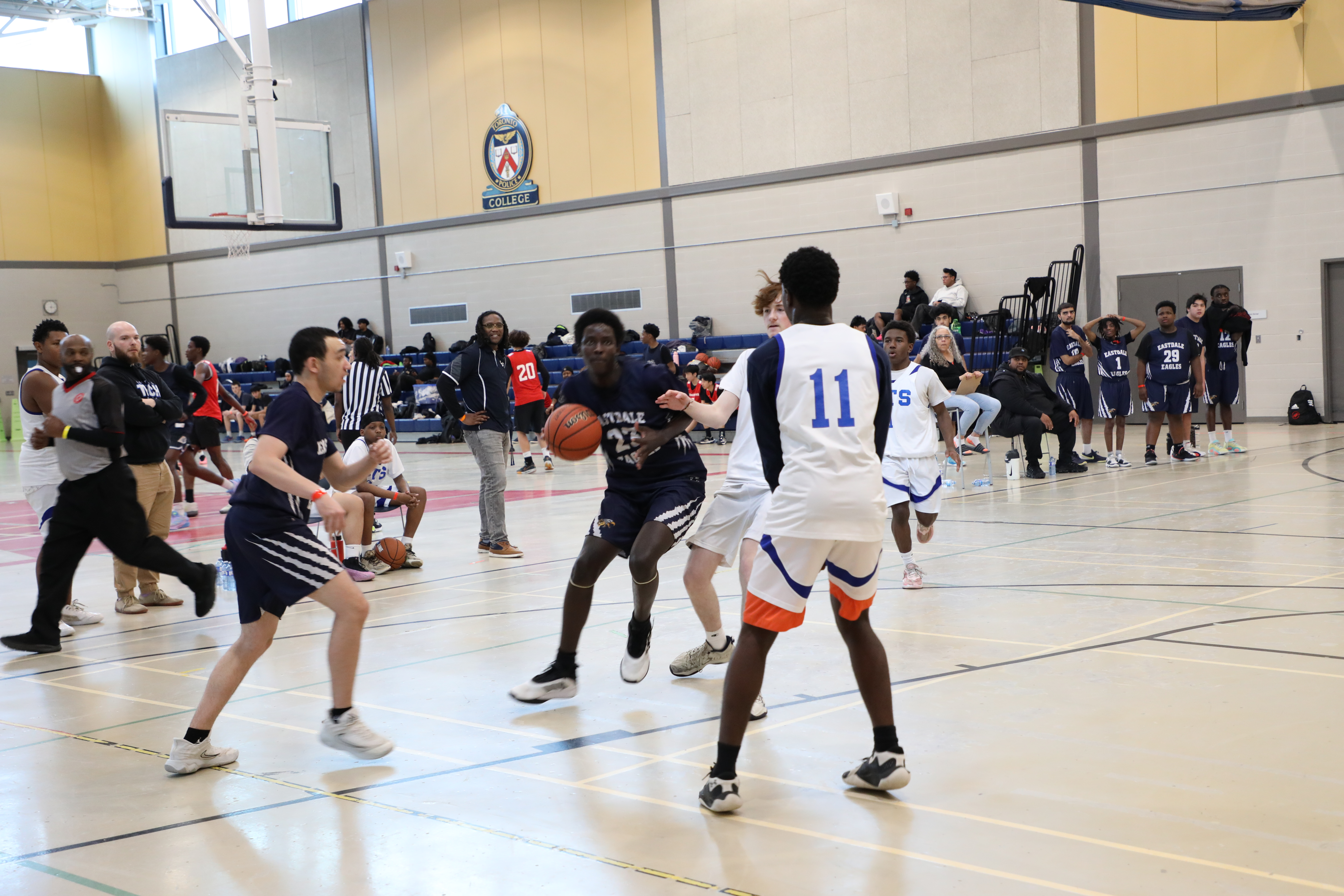 Eagles in Action Open Gallery
