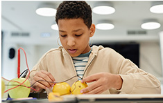 A young male student sets his full attention on an electricity experiment involving several potatoes