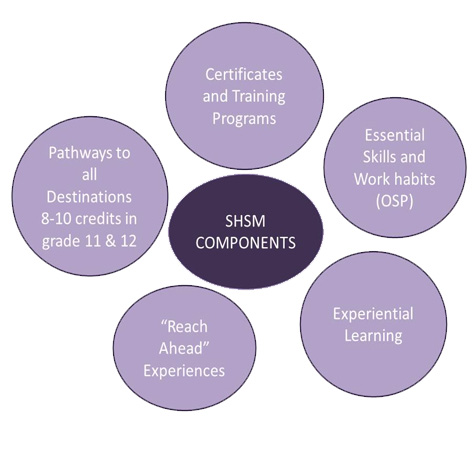 shsm components