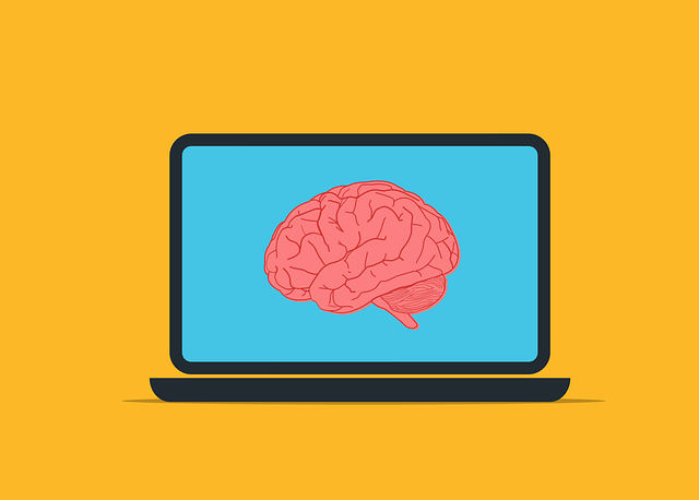 brain-g33267b666_640