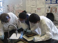 Students conducting a science experiment