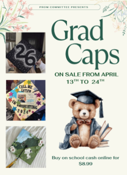 promcaps2026639120464246438049