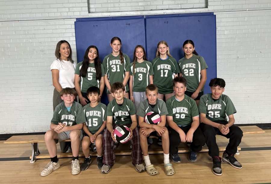 7 all gender volleyball