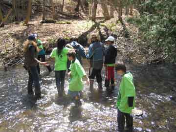 Stream Study, Systems and Cycles in the Outdoors