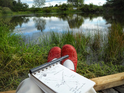 nature journaling by pond