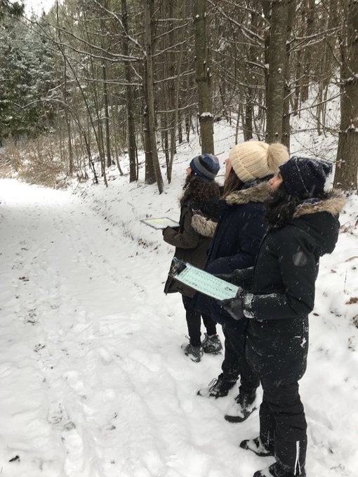 score orienteering in winter