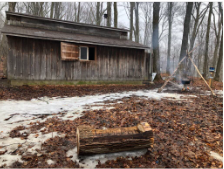 sugar shack in winter