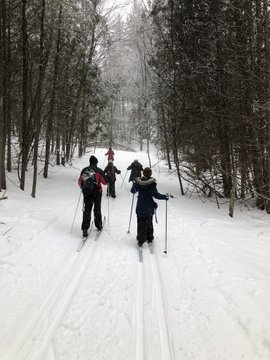 cross country skiing through forest