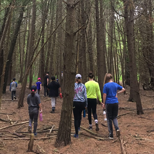 group exploring the woods