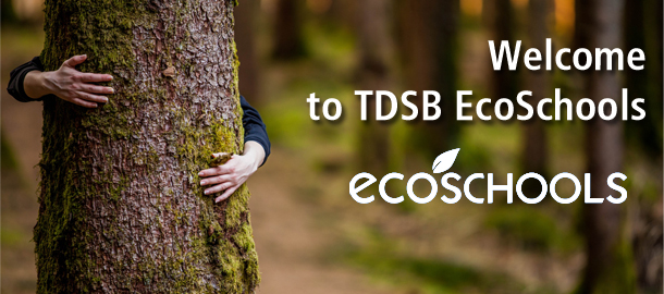 TDSB Eco-schools banner