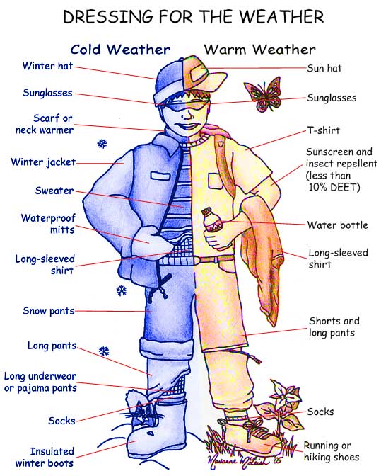 Diagram of Clothing to wear in different seasons