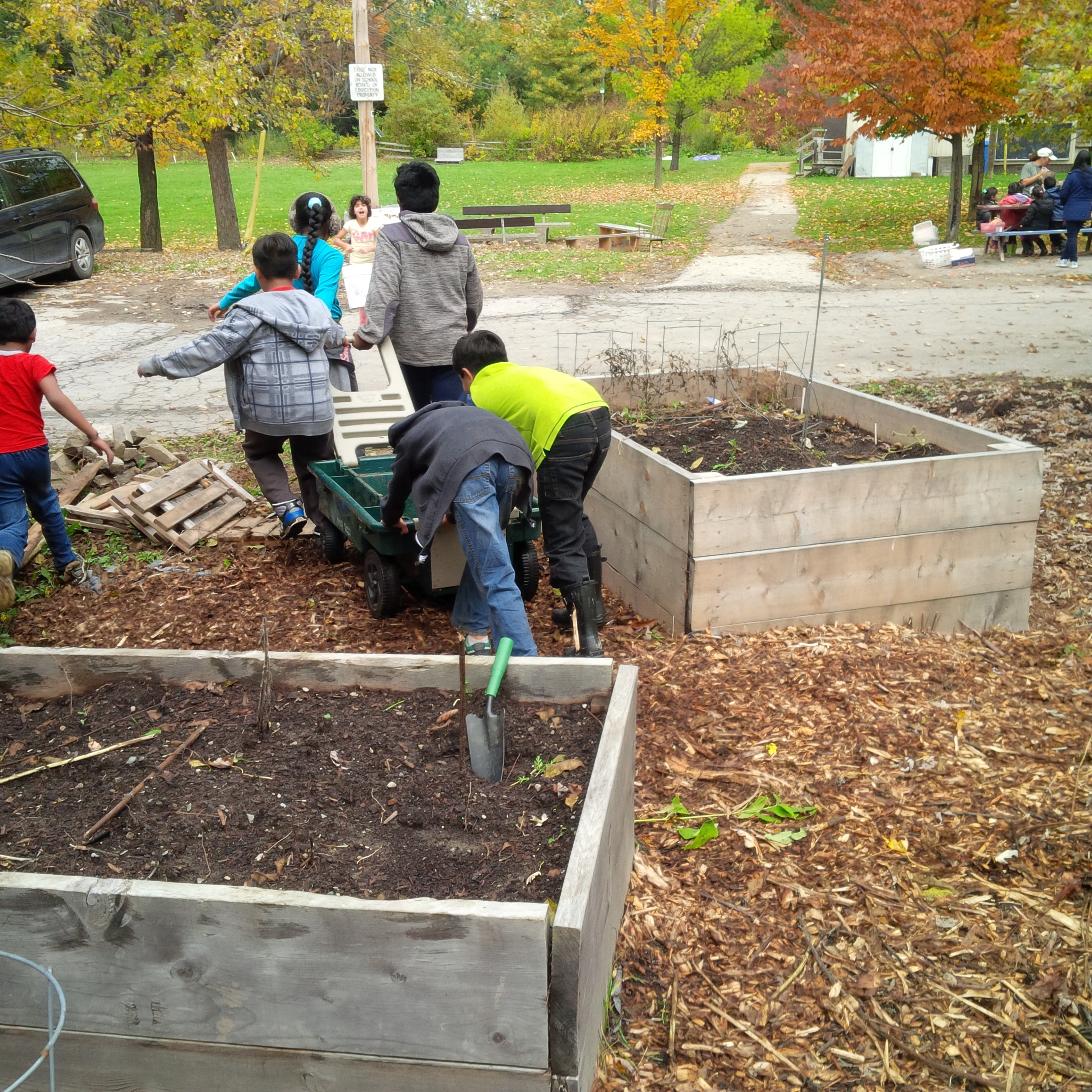 Students mulching garden beds