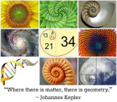 Where there is a matter, there is geometry