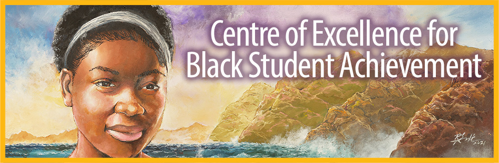 center of excellence for black student achievement