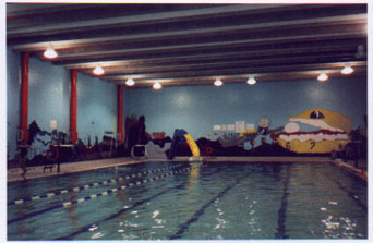 Norseman Community School & Pool