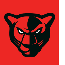 PCI Panther head logo 