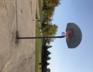 basketball net with mesh