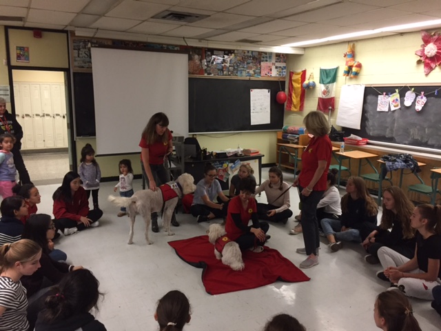 Girls group therapy Dogs session