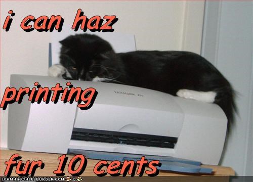 I can haz printing fur 10 cents