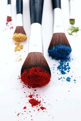 closeup of brushes and powder paint